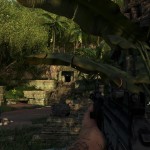 Far Cry 3 Grafik Preset Niedrig